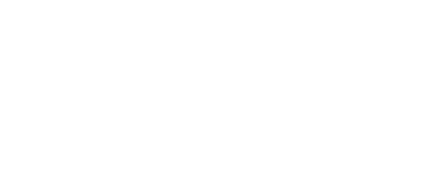 Palisade Realty